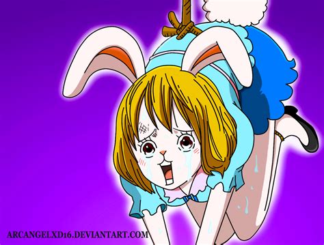 carrot one piece hentai|carrot (one piece)